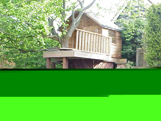 Tree House